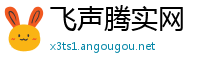 飞声腾实网